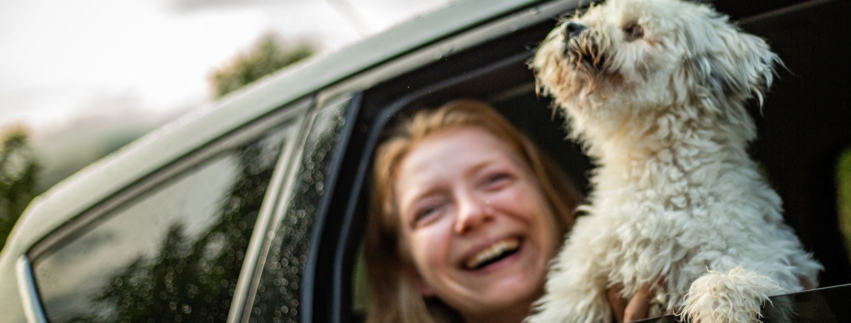 A passenger laughs as a dog sticks its head out of the window of a car.